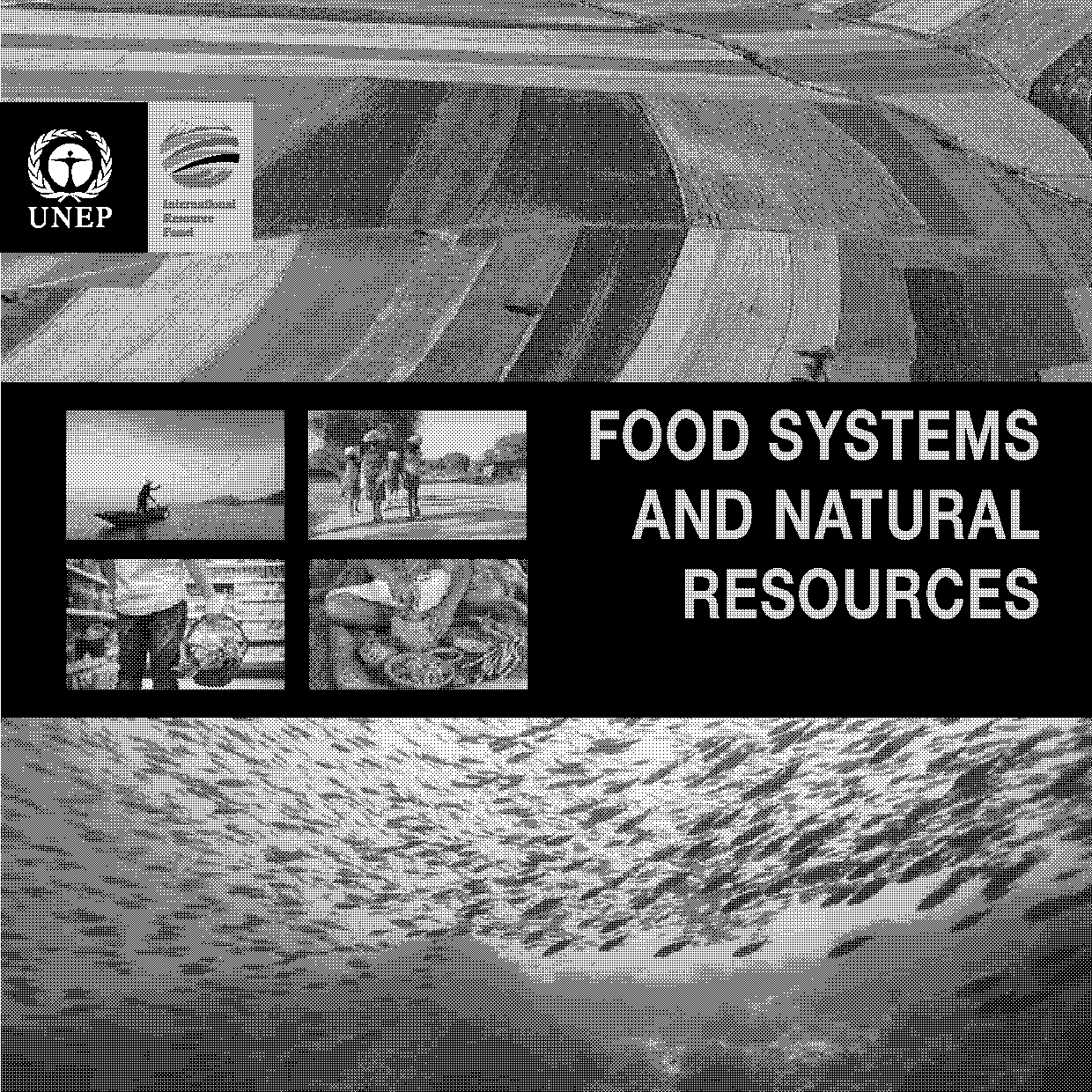 food security natural resources policy