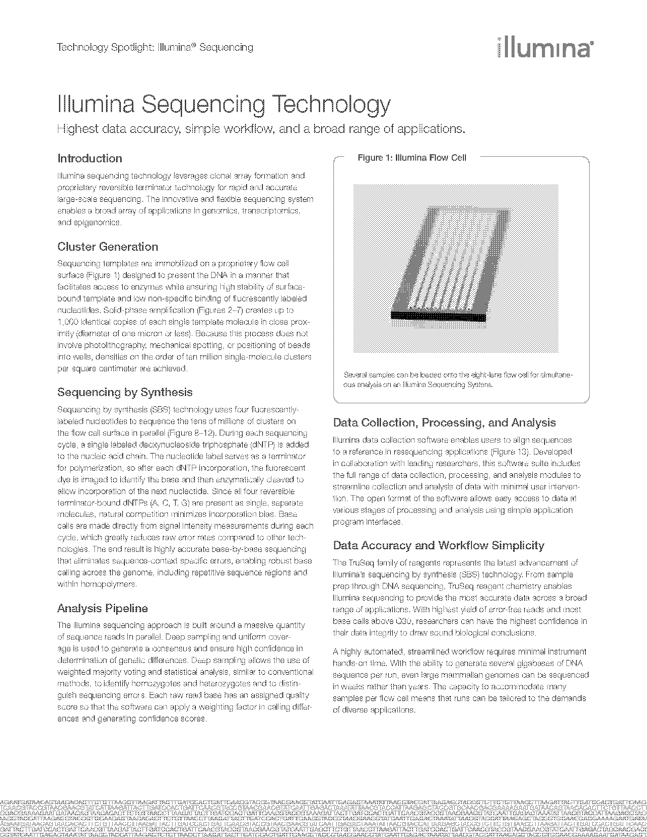 theory data cycle in order