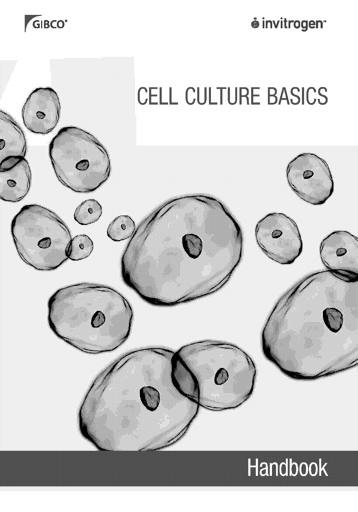 count of cells containing text