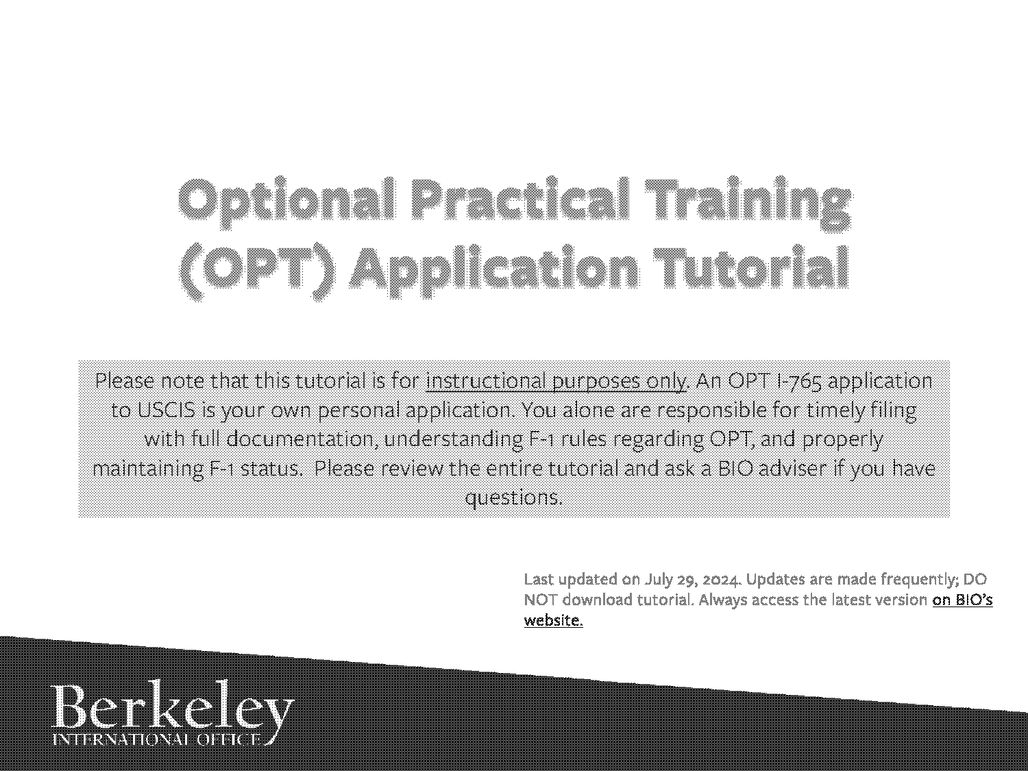 how to check status of opt application